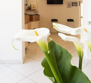 Hotel Villa Nora Hall Contatti Footer